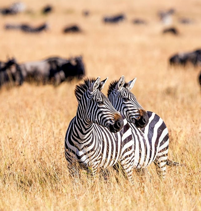 Kenya