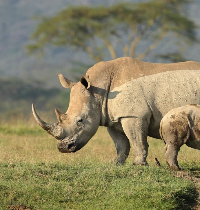 Uganda