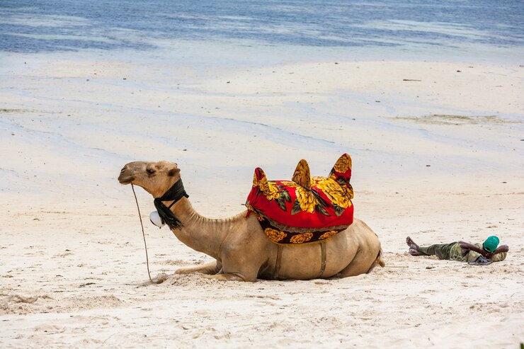 3 Days/2 Nights Budget Diani Getaway